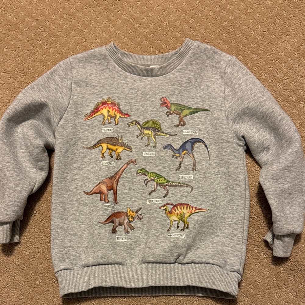 Dinosaur Print Gray Kids Sweatshirt
